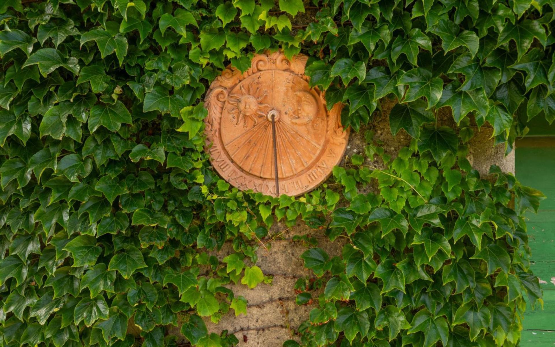 Agriturismo La Godiola Gioiella エクステリア 写真